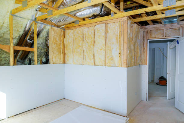 Best Eco-Friendly Insulation in Long View, NC