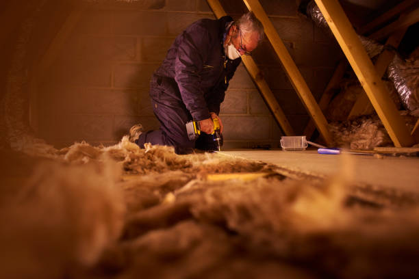 Best Fiberglass Insulation in Long View, NC